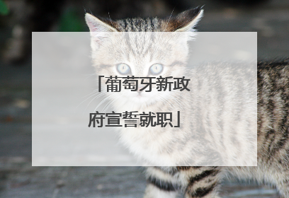 葡萄牙新政府宣誓就职