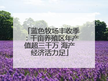 蓝色牧场丰收季：千亩养殖区年产值超三千万 海产经济活力足