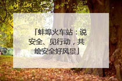 蚌埠火车站：说安全、见行动，共绘安全好风景