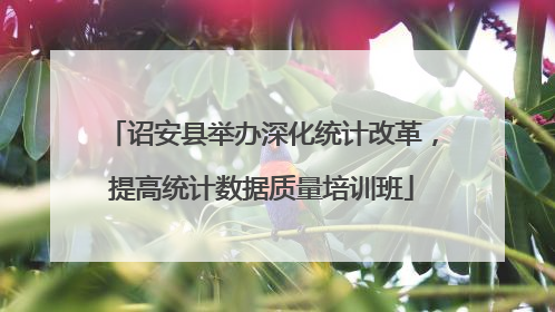 诏安县举办深化统计改革，提高统计数据质量培训班