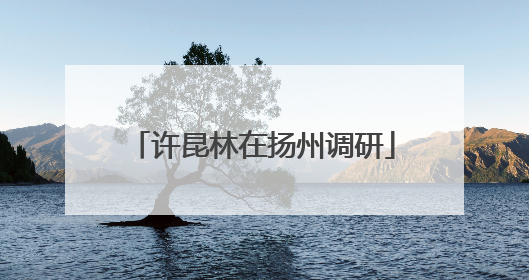 许昆林在扬州调研