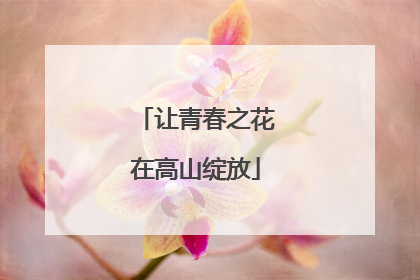 让青春之花在高山绽放