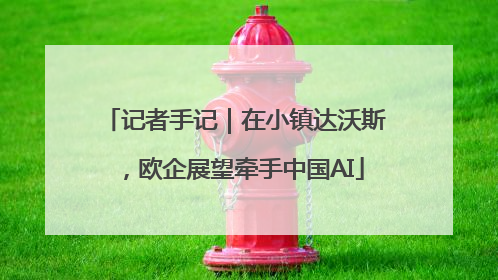 记者手记｜在小镇达沃斯，欧企展望牵手中国AI