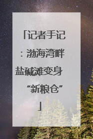 记者手记：渤海湾畔盐碱滩变身“新粮仓”