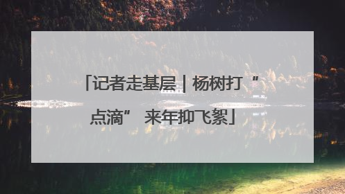 记者走基层｜杨树打“点滴” 来年抑飞絮