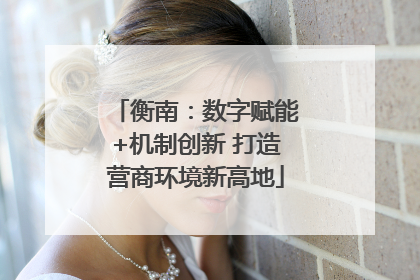衡南：数字赋能+机制创新 打造营商环境新高地