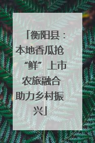 衡阳县：本地香瓜抢“鲜”上市 农旅融合助力乡村振兴