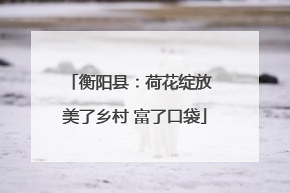 衡阳县：荷花绽放 美了乡村 富了口袋