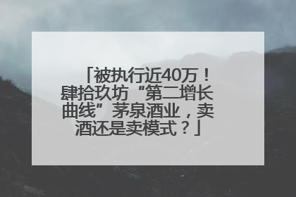 被执行近40万！肆拾玖坊“第二增长曲线”茅泉酒业，卖酒还是卖模式？