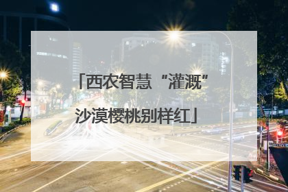 西农智慧“灌溉” 沙漠樱桃别样红