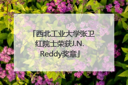西北工业大学张卫红院士荣获J.N.Reddy奖章