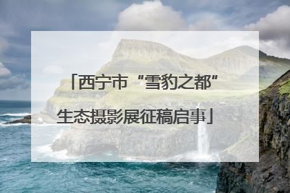 西宁市“雪豹之都”生态摄影展征稿启事