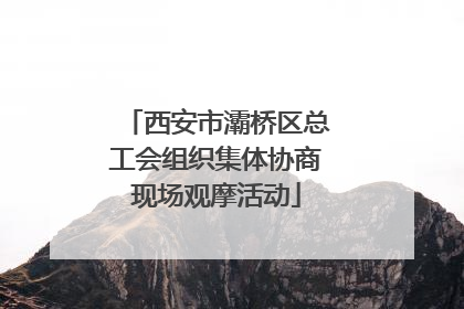 西安市灞桥区总工会组织集体协商现场观摩活动
