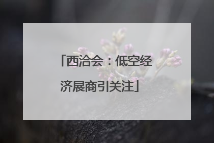 西洽会：低空经济展商引关注