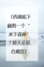 西湖底下藏着一个“水下森林”？夏天正适合观赏