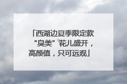 西湖边夏季限定款“臭美”花儿盛开，高颜值，只可远观