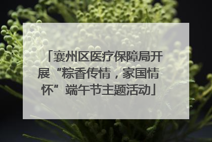 襄州区医疗保障局开展“粽香传情，家国情怀”端午节主题活动