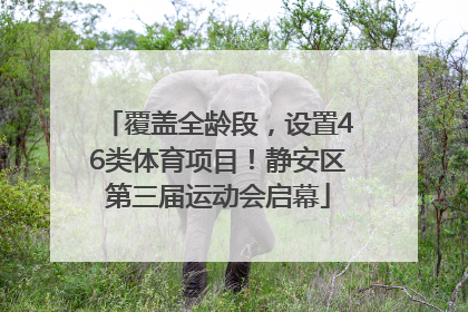 覆盖全龄段，设置46类体育项目！静安区第三届运动会启幕