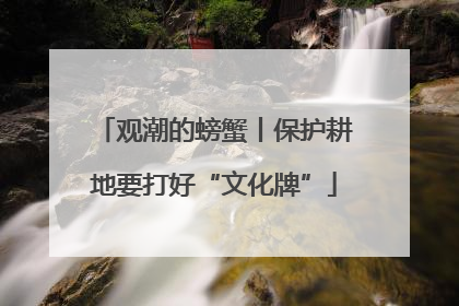 观潮的螃蟹丨保护耕地要打好“文化牌”