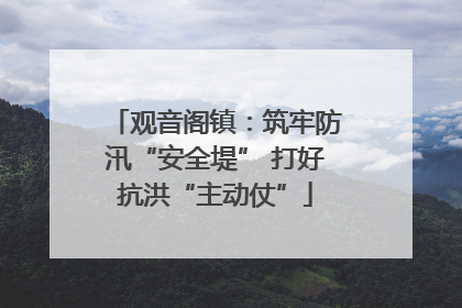观音阁镇：筑牢防汛“安全堤” 打好抗洪“主动仗”