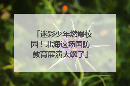 迷彩少年燃爆校园！北海这场国防教育展演太飒了