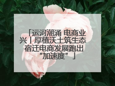 运河潮涌 电商业兴丨厚植沃土筑生态 宿迁电商发展跑出“加速度”