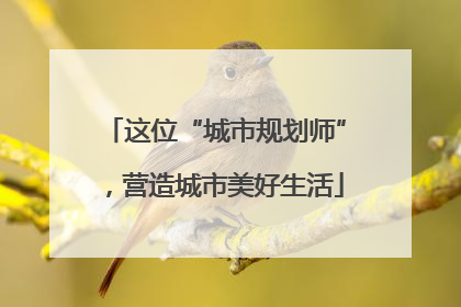 这位“城市规划师”，营造城市美好生活