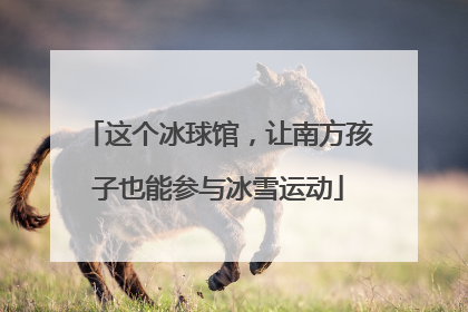 这个冰球馆，让南方孩子也能参与冰雪运动