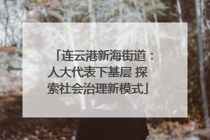 连云港新海街道：人大代表下基层 探索社会治理新模式