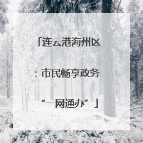 连云港海州区：市民畅享政务“一网通办”