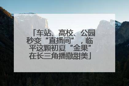 车站、高校、公园秒变“直播间”，临平这颗初夏“金果”在长三角播撒甜美