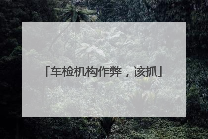 车检机构作弊，该抓