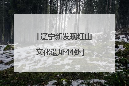 辽宁新发现红山文化遗址44处