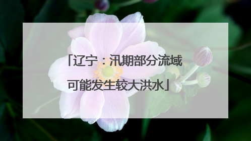 辽宁：汛期部分流域可能发生较大洪水