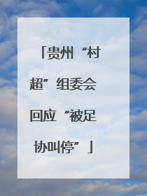 贵州“村超”组委会回应“被足协叫停”