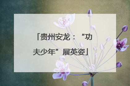贵州安龙：“功夫少年”展英姿