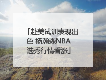赴美试训表现出色 杨瀚森NBA选秀行情看涨