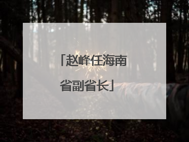 赵峰任海南省副省长
