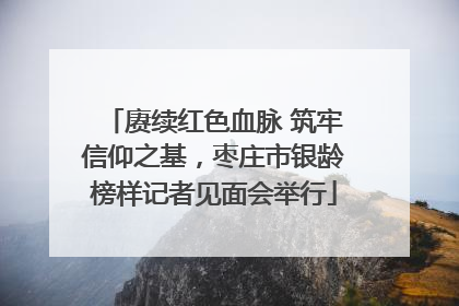赓续红色血脉 筑牢信仰之基，枣庄市银龄榜样记者见面会举行