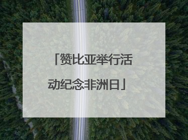 赞比亚举行活动纪念非洲日