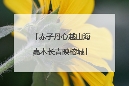 赤子丹心越山海 嘉木长青映榕城