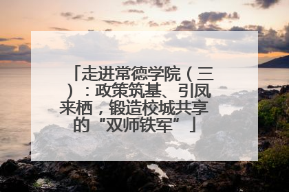 走进常德学院（三）：政策筑基、引凤来栖，锻造校城共享的“双师铁军”