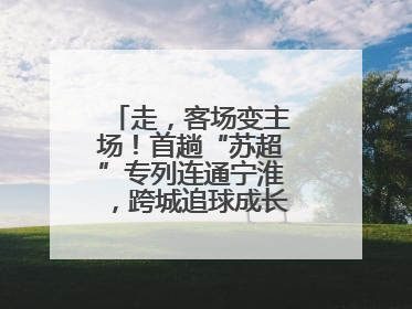 走，客场变主场！首趟“苏超”专列连通宁淮，跨城追球成长三角人新日常