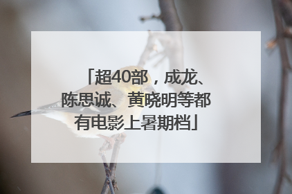 超40部，成龙、陈思诚、黄晓明等都有电影上暑期档