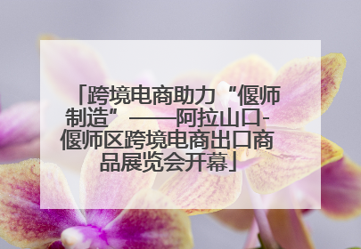 跨境电商助力“偃师制造”——阿拉山口-偃师区跨境电商出口商品展览会开幕