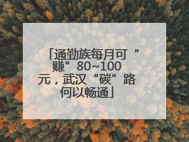 通勤族每月可“赚”80~100元，武汉“碳”路何以畅通