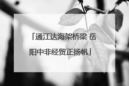 通江达海架桥梁 岳阳中非经贸正扬帆