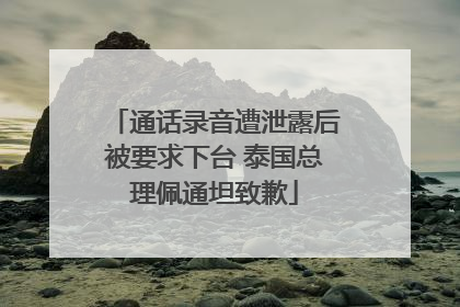 通话录音遭泄露后被要求下台 泰国总理佩通坦致歉