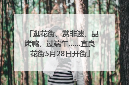 逛花街、赏非遗、品烤鸭、过端午……宜良花街5月28日开街