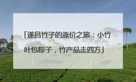 遂昌竹子的涨价之旅：小竹叶包粽子，竹产品走四方
